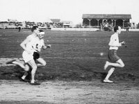 Prvenstvo države 1929. godine, cross na 10.000 metara